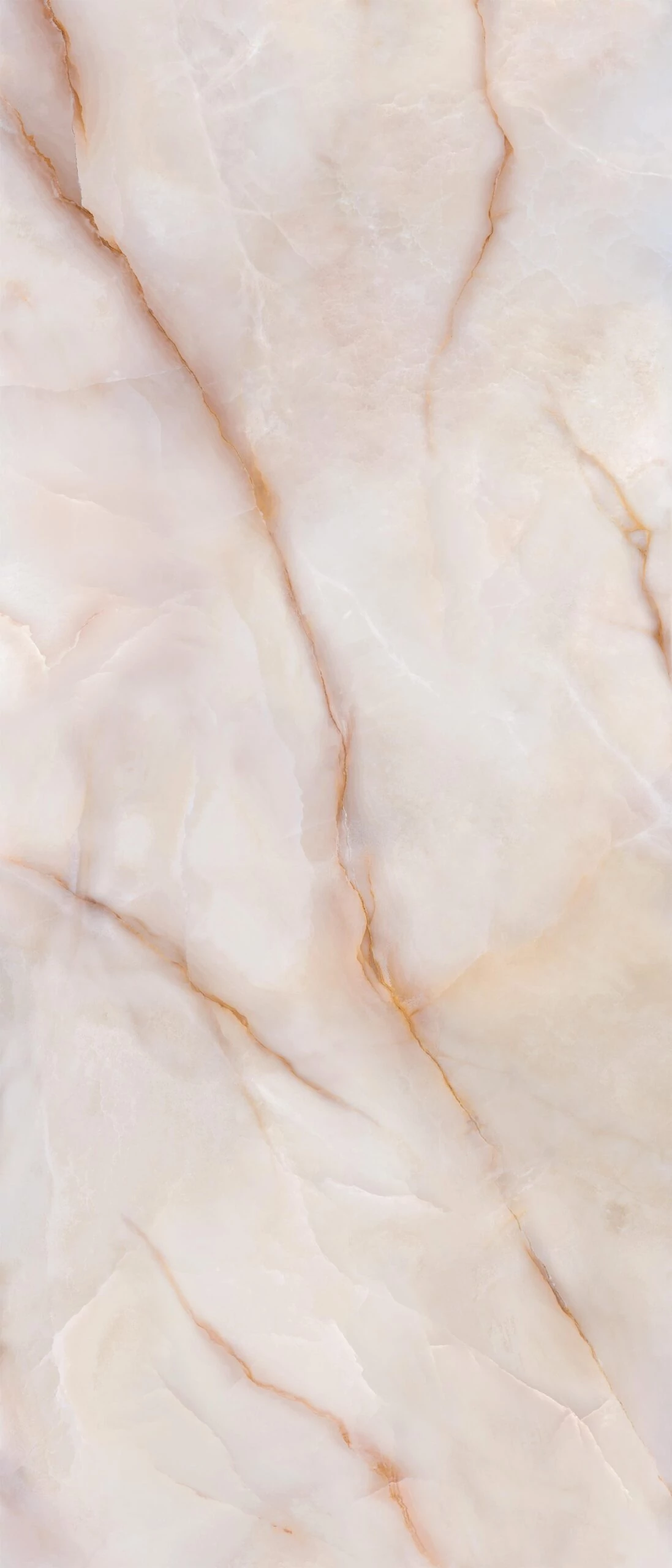 energieker luminia camelia 60x120 cm