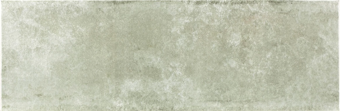fabresa abalone heiji 10x30 cm