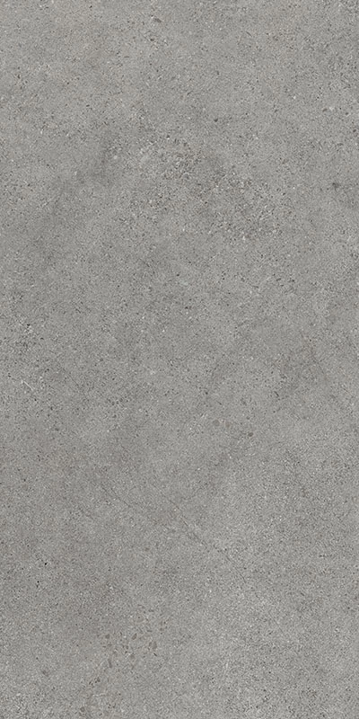 paradyz authority grey 60x120 cm