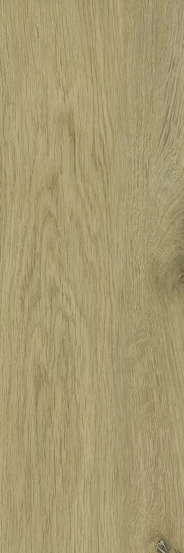 paradyz decorwood gold str mat 20x60 cm