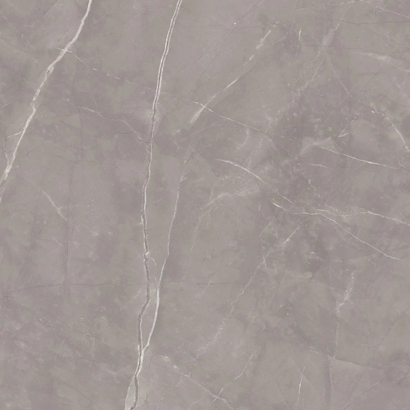 paradyz ritual grey 120x120 cm