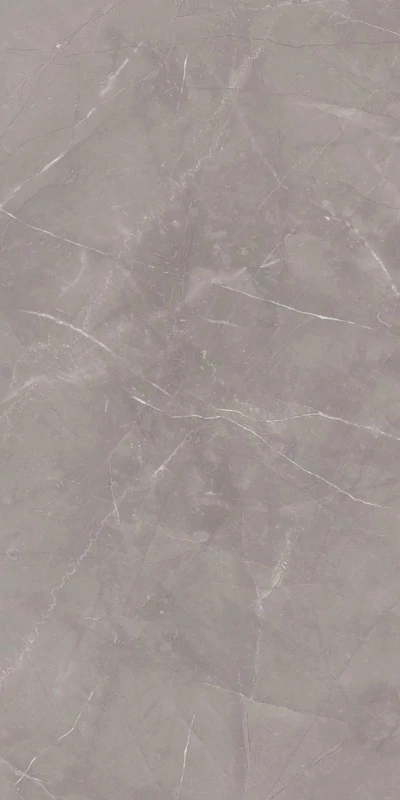 paradyz ritual grey 60x120 cm