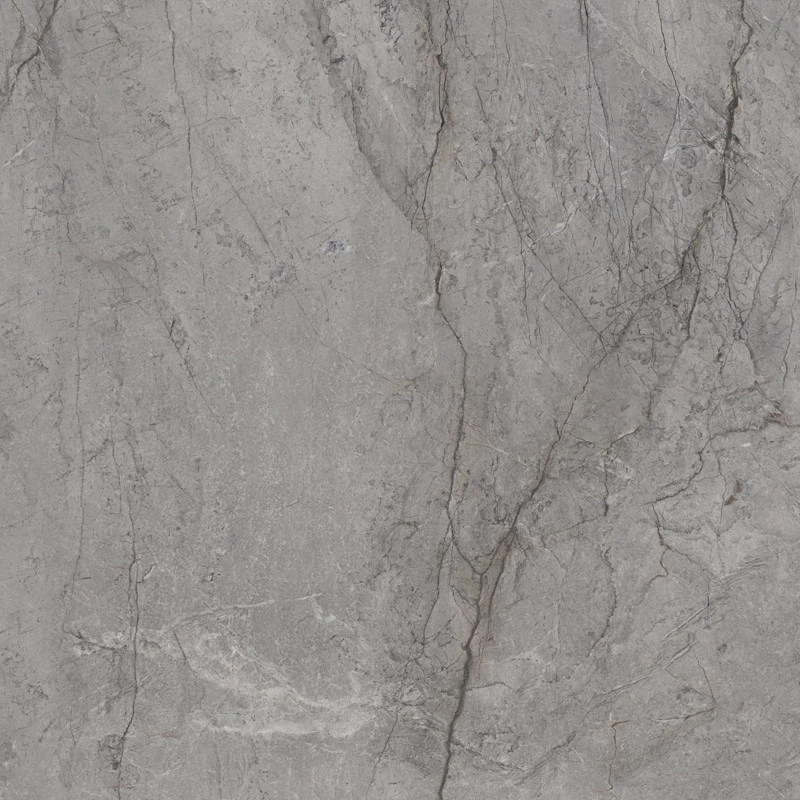 paradyz visioner grey pol. 120x120 cm