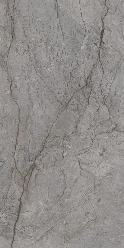 paradyz visioner grey pol. 60x120 cm