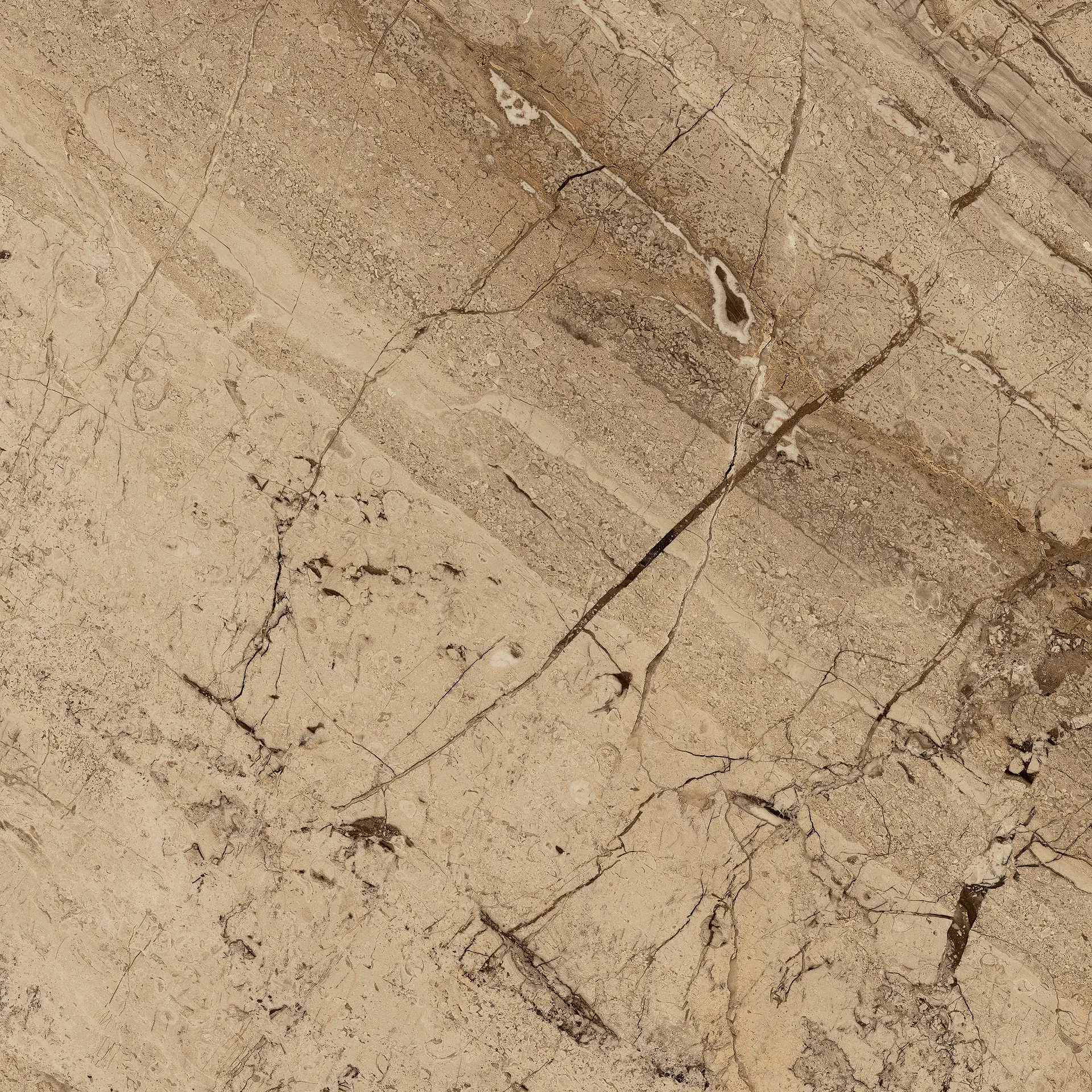 ragno incanto breccia aurora matt ret. 60x60 cm R8ZN