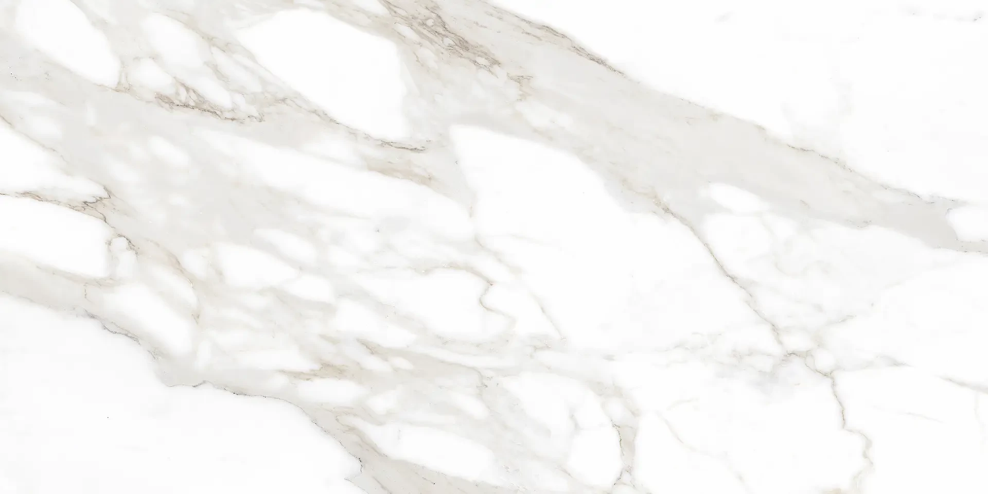 ragno incanto calacatta nobile glossy 60x120 cm R8RV