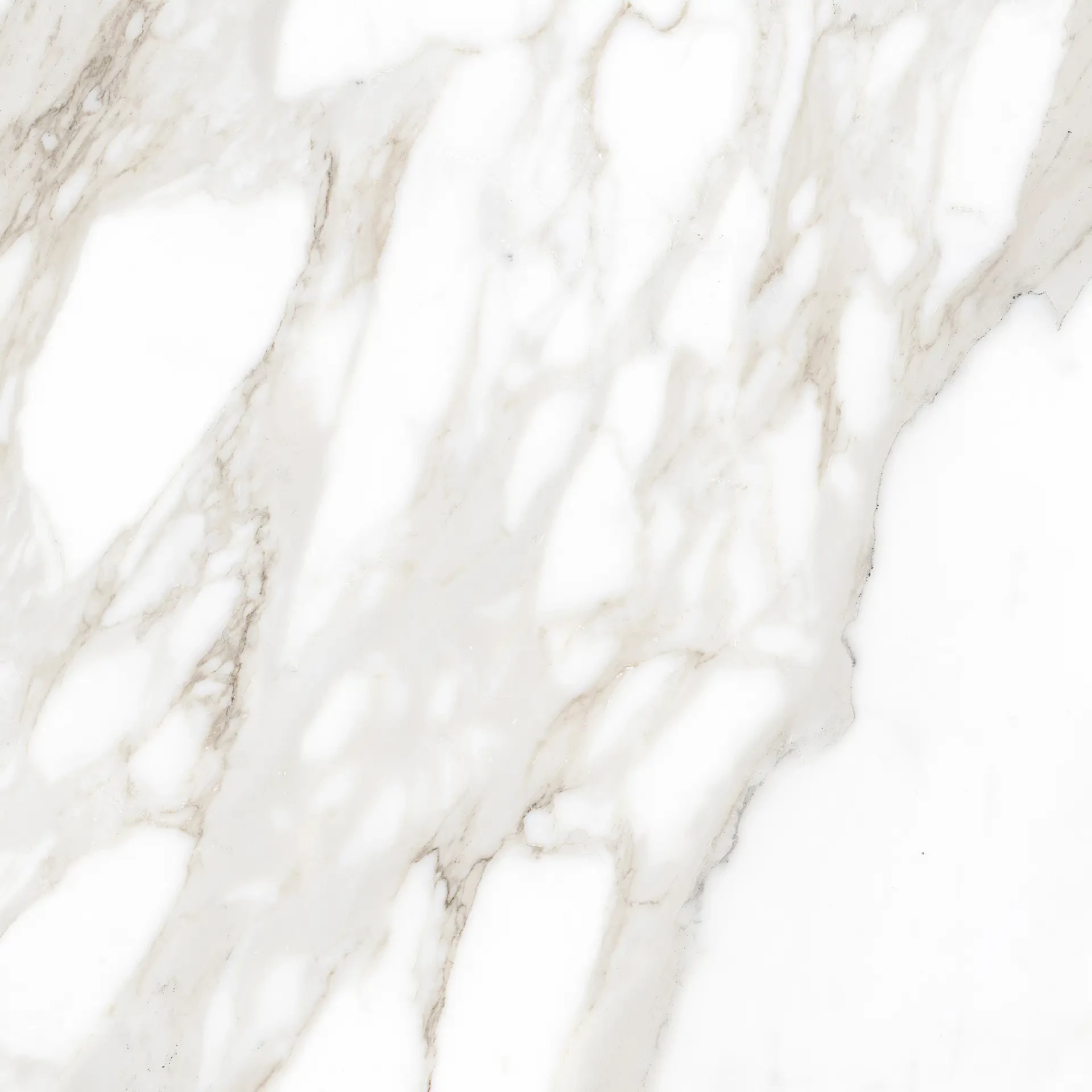 ragno incanto calacatta nobile glossy 60x60 cm R90G