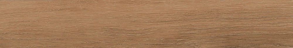 ribesalbes bremen sherwood 10x60 cm
