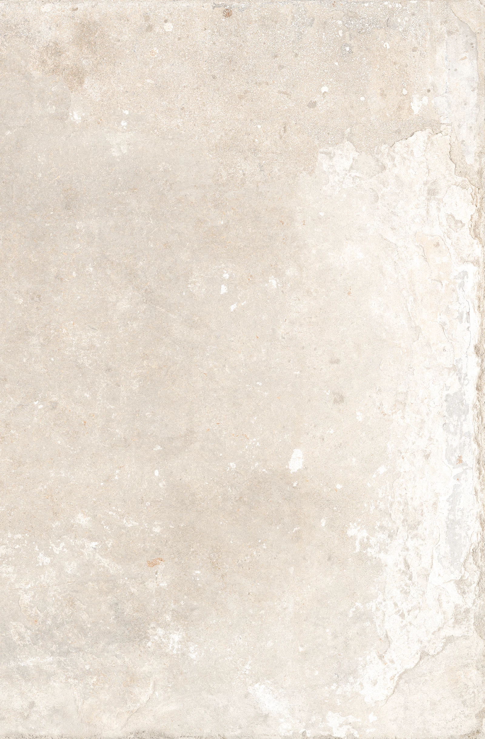 rondine windsor ivory 40,6x60,9 cm