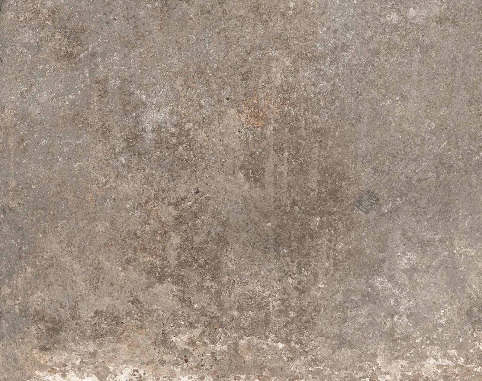 rondine windsor taupe 40,6x60,9 cm