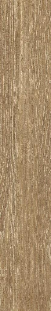 sichenia troncais cognac 20x120 cm