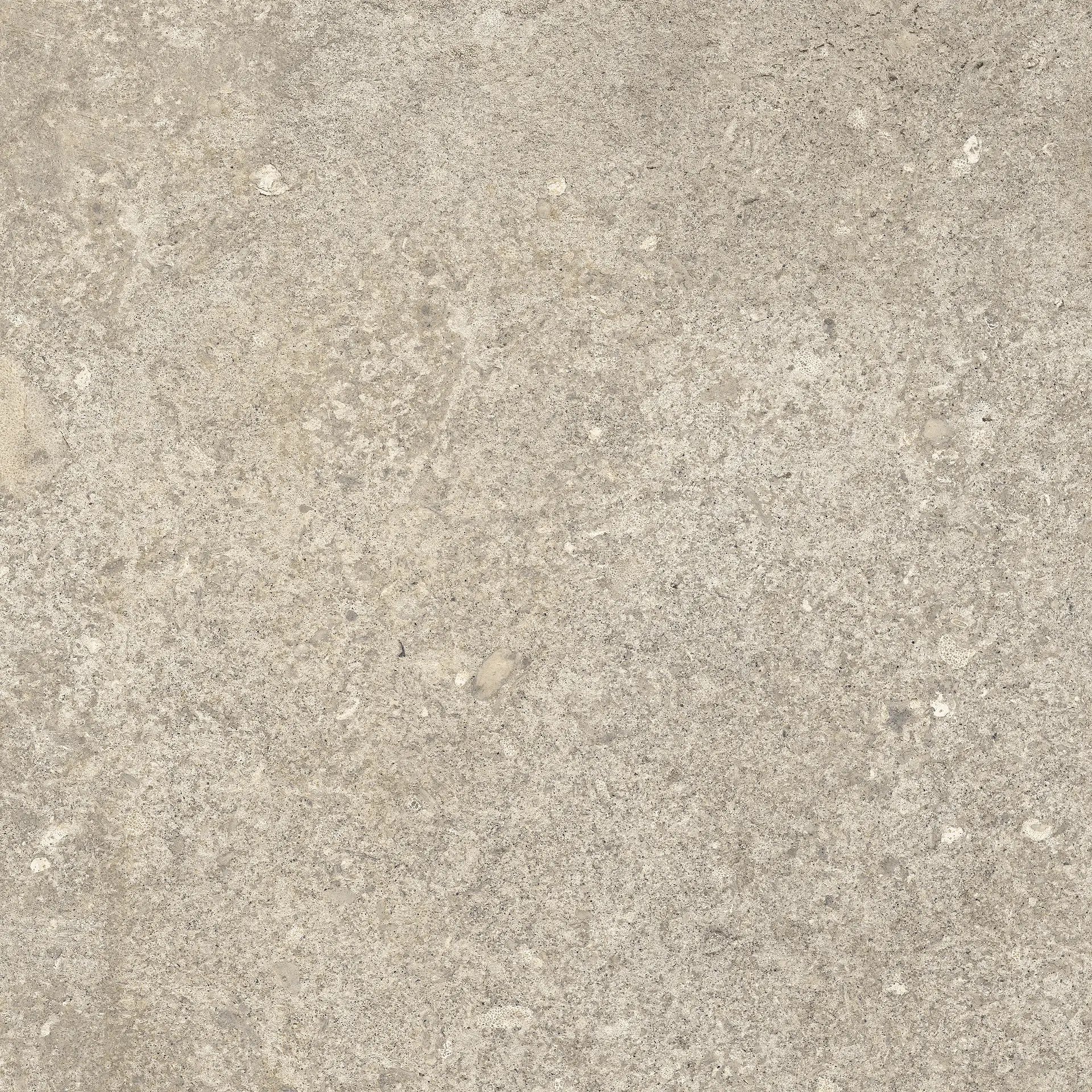 tuscania saint michel greige 61x61 cm 
